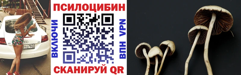 hydra вход где купить наркоту Реутов Псилоцибиновые грибы Psilocybe