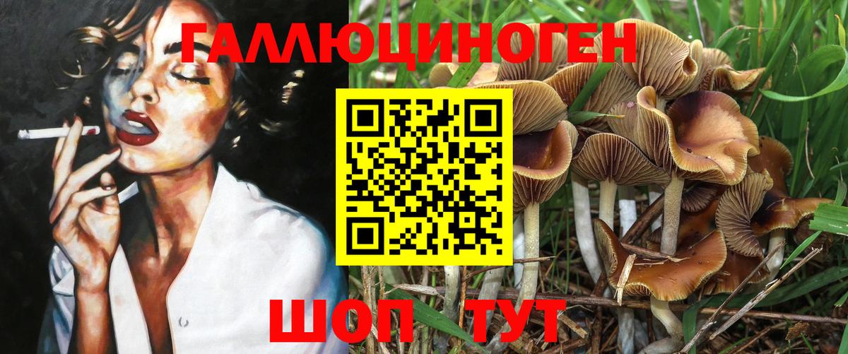 Псилоцибиновые грибы мицелий  Вход с VPN  Галлюциногенные грибы Psilocybe  Реутов 