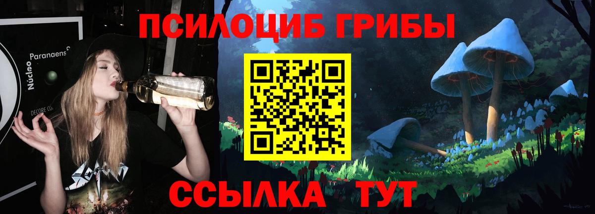 COCAIN  Реутов  Кислота  Меф  Ляпка  Бошки Шишки  Вход с VPN 